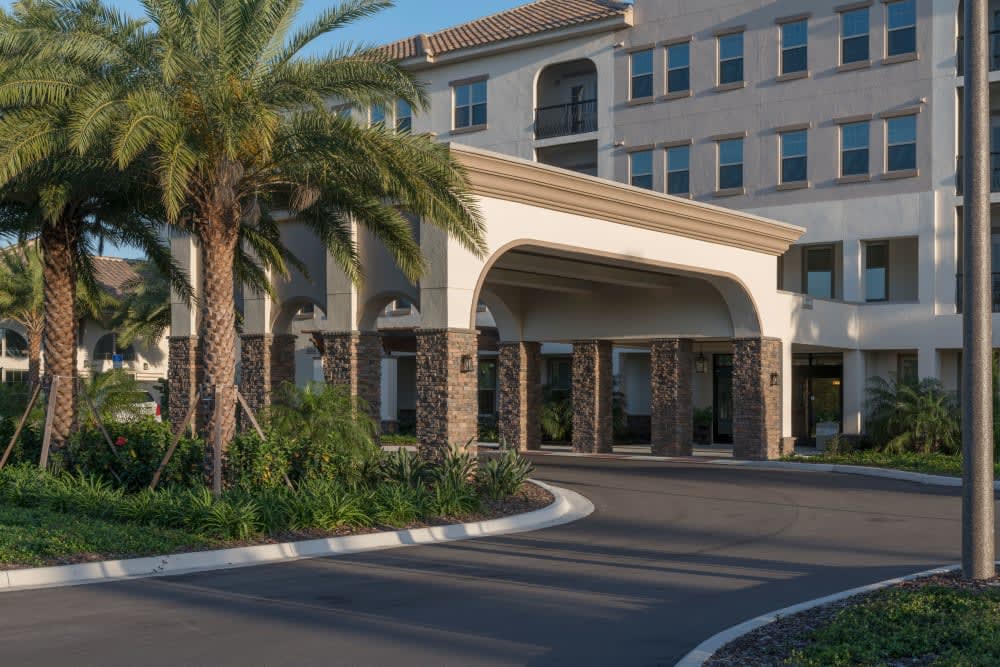 The entrance of a building with palm trees and a driveway.