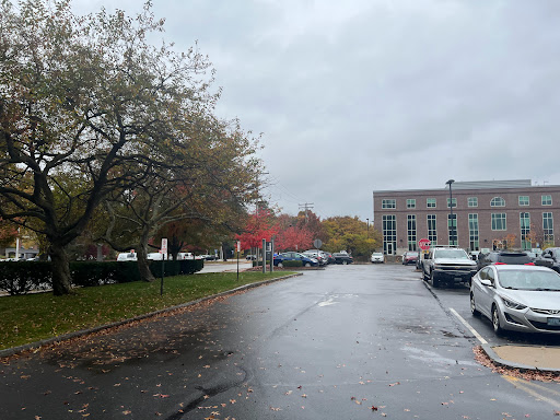 A quiet street lined with trees showing autumn colors under a cloudy sky.