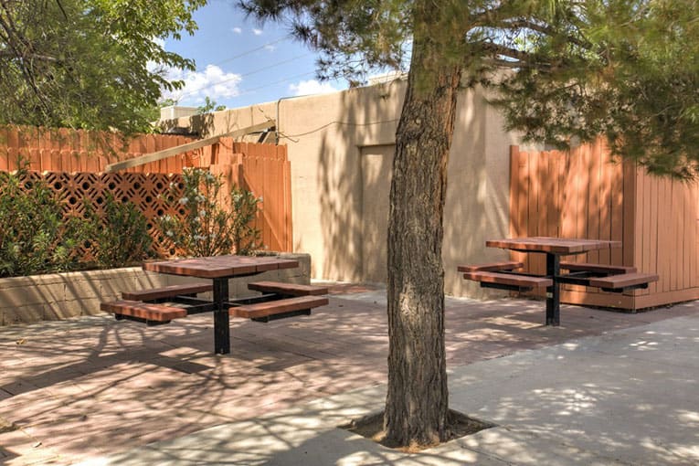 A peaceful outdoor patio area with tables and benches shaded by a tree.