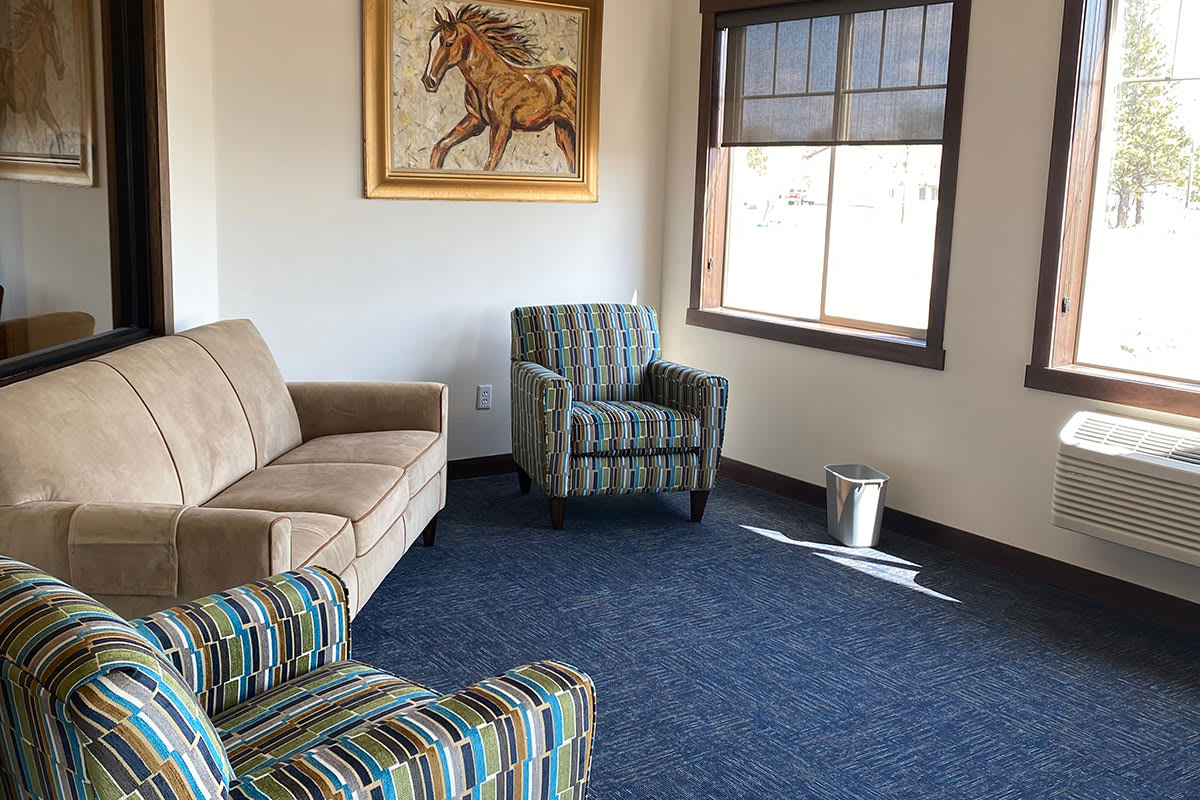 A cozy living room with a patterned armchair, sofa, and a horse painting on the wall.