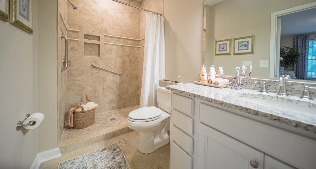 A clean and well-decorated bathroom with a shower, toilet, and sink vanity.