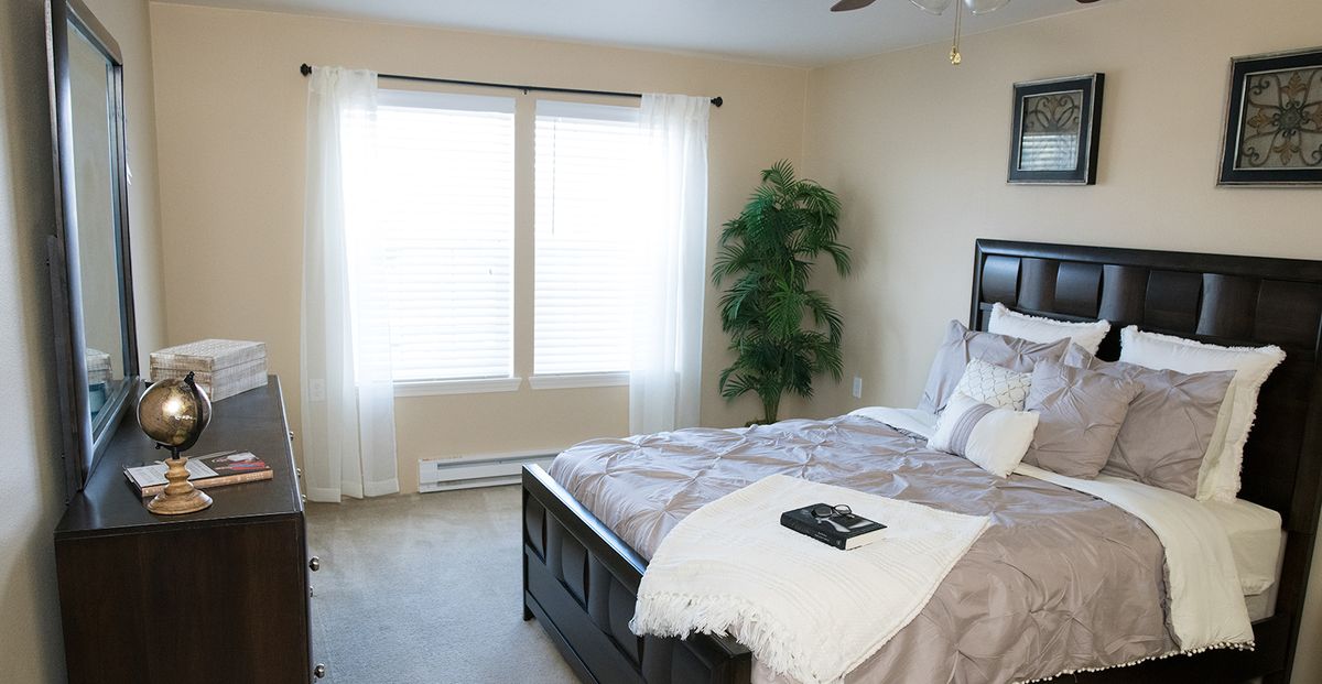 A cozy bedroom with a bed, large window, and decorative plant.