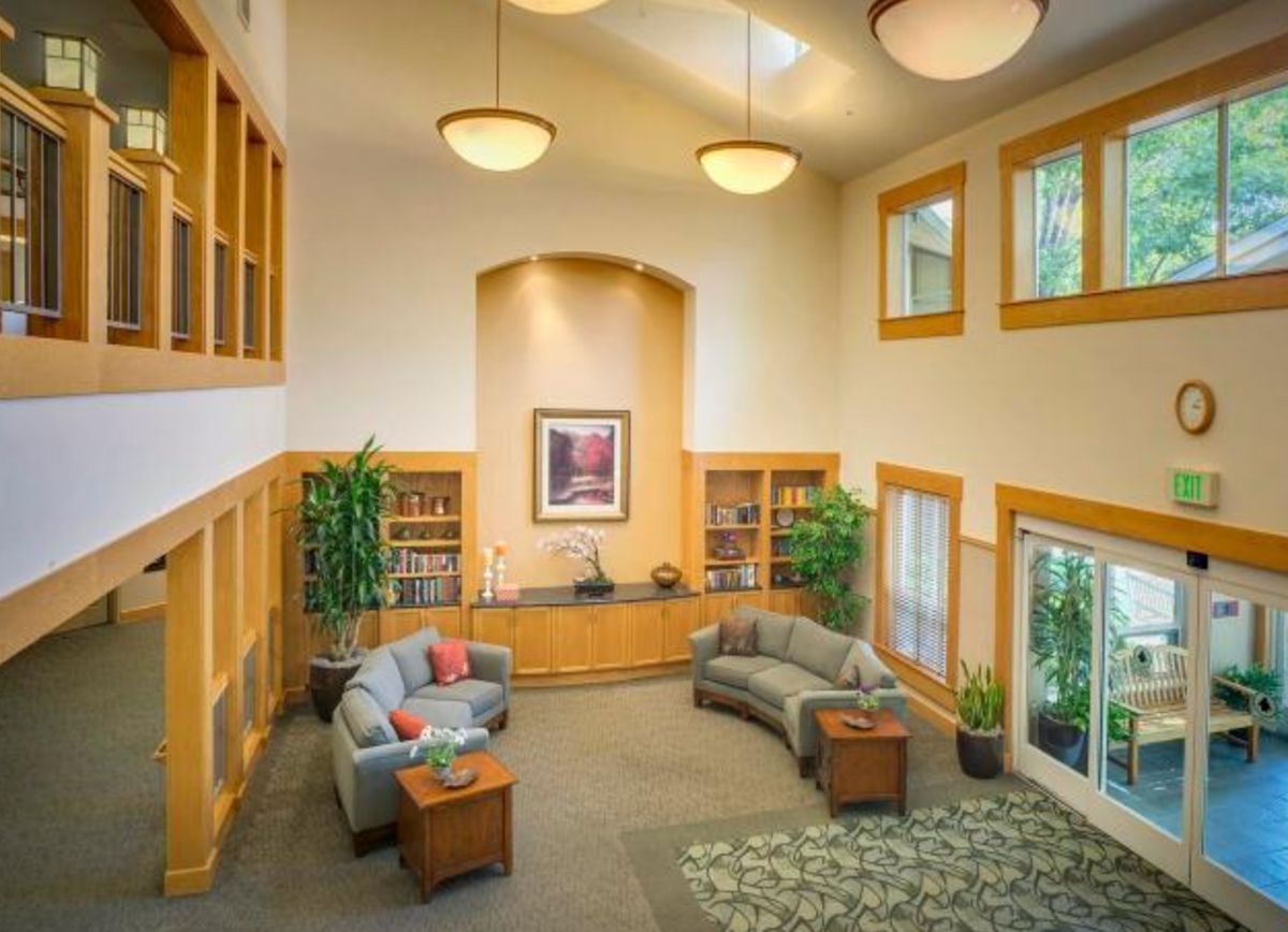 A spacious living room with modern furniture and large windows, adorned with indoor plants and soft lighting.