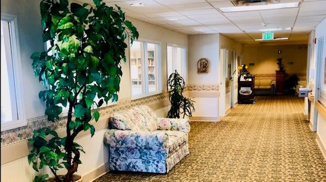 A cozy hallway with a patterned chair and indoor plants.
