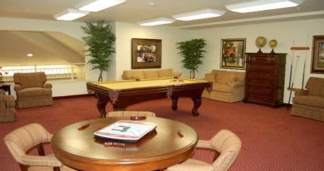 A cozy game room featuring a pool table, comfortable seating, and decorative indoor plants.