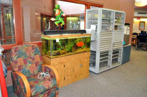 A cozy waiting area featuring a fish tank with vibrant aquatic life and a decorative statue.