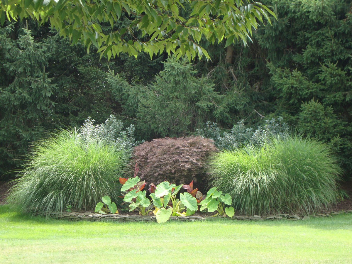 A lush garden landscape with a variety of greenery and grasses.