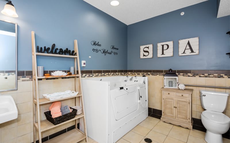 A cozy pet grooming spa with a soothing blue wall and organized shelves.