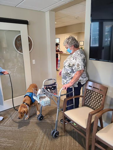 A therapy dog interacts with a senior citizen in a care facility while another person assists.