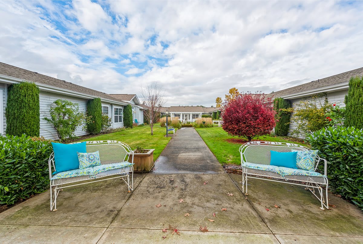 A serene courtyard featuring benches and lush greenery under a cloudy sky.