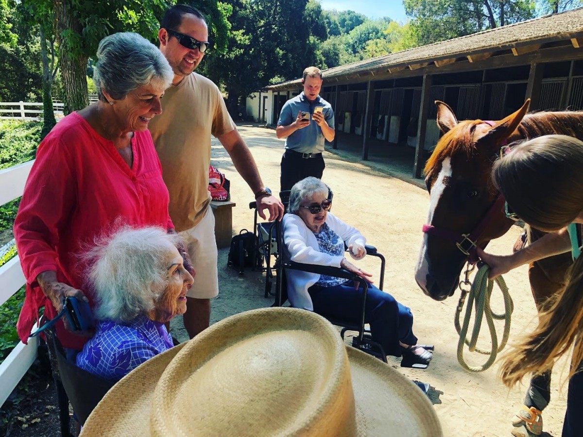 A group of elderly people, some in wheelchairs, enjoying an interaction with a horse outdoors.