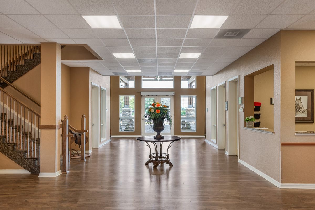 A modern office reception area with a hallway and decorative flower arrangement.