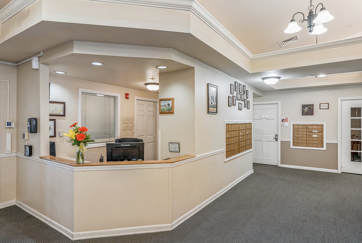 A neatly arranged reception area with a desk and decorative elements.