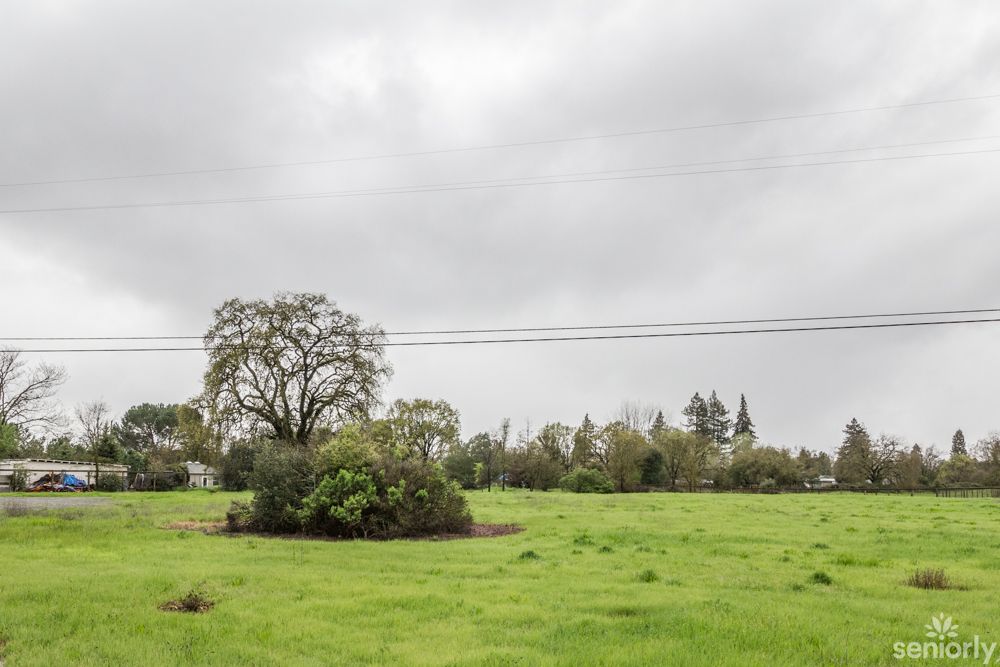 A wide open field with lush green grass and scattered trees under an overcast sky.
