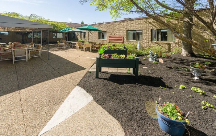 A sunny courtyard garden with planter boxes and seating.
