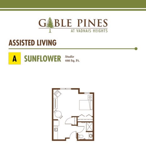 Floor plan for the Sunflower Studio model at Gable Pines Assisted Living.