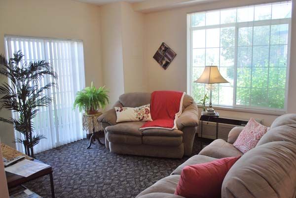 A cozy living room with a sofa, lamp, and greenery by the window.