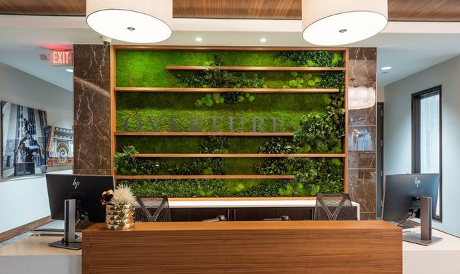 A modern reception area featuring a green wall with wooden shelves and decorative elements.