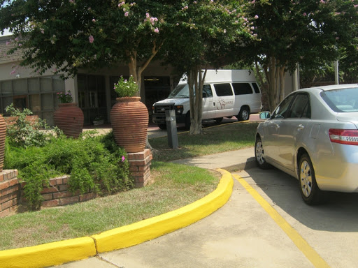 A view of a parking lot featuring two vehicles and surrounding greenery.