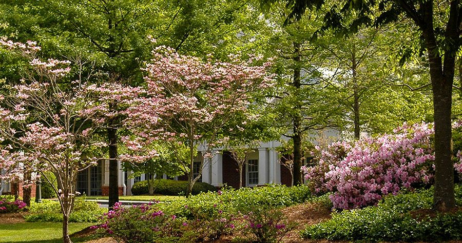 The Gardens At Royal Oaks