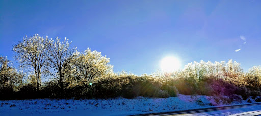 A serene winter morning with frost-kissed trees under a bright blue sky.