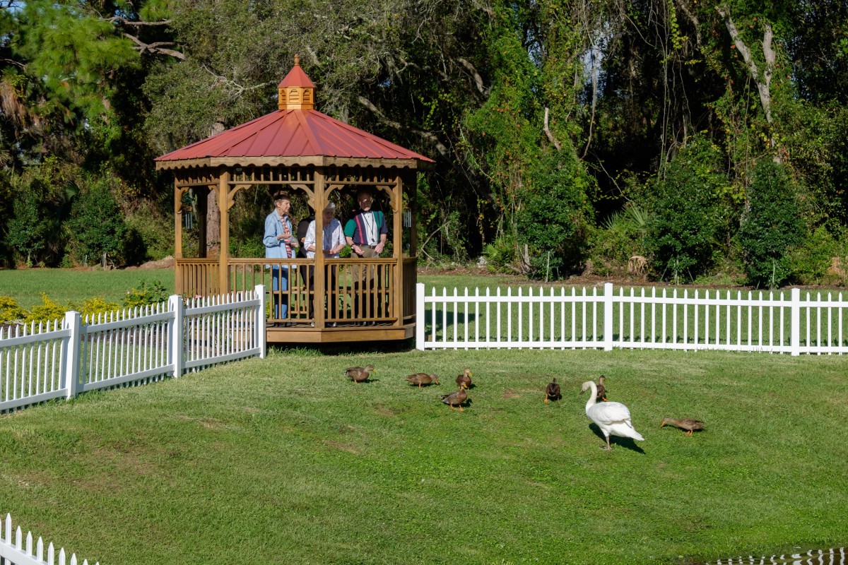 People standing in a gazebo watching geese on the grass.