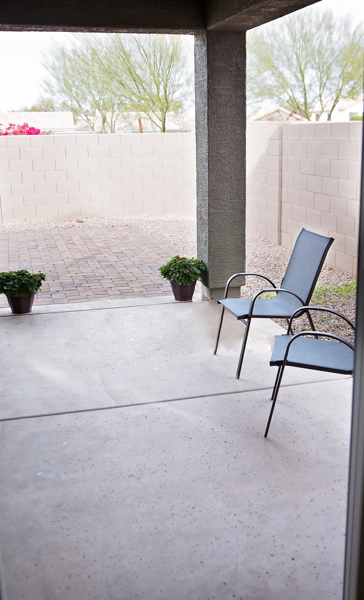 Ideal Assisted Living - Olla