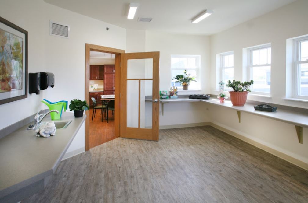 A bright room featuring plants and large windows with a wooden floor and an open door.