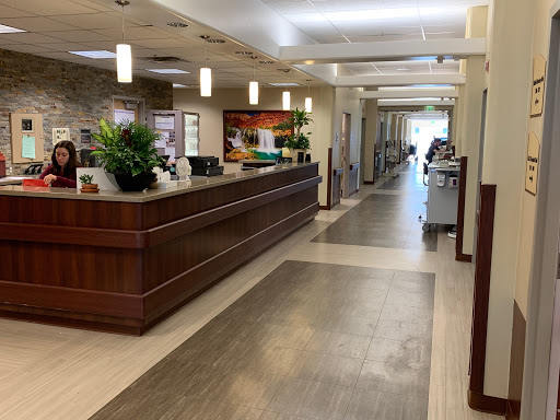 A welcoming reception area with modern design elements and greenery.
