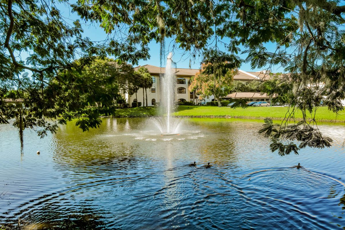 A tranquil outdoor scene featuring a pond with a fountain, surrounded by lush greenery and a building in the background.