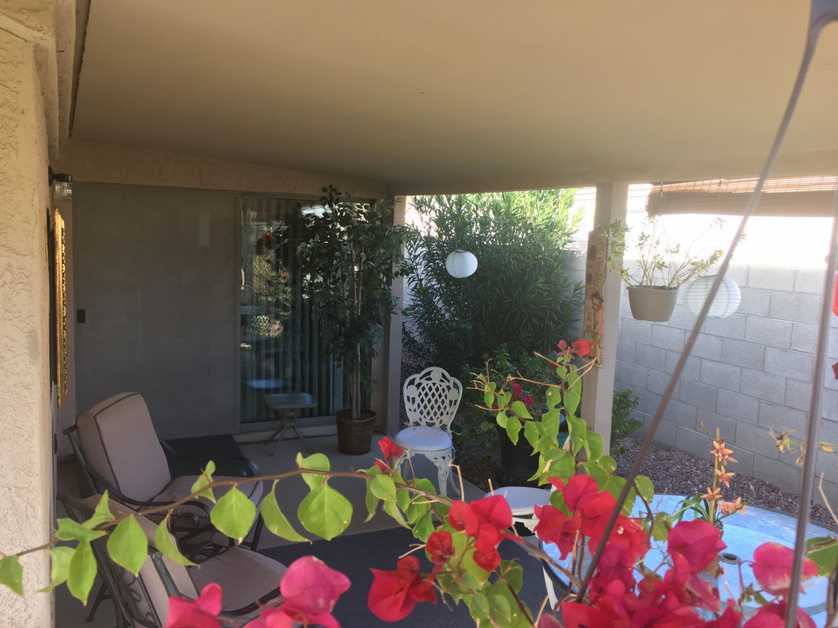 A cozy patio with vibrant flowers and outdoor seating.