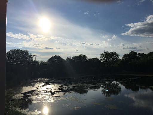 A serene view of the sun shining over a calm lake, reflecting the beauty of nature.