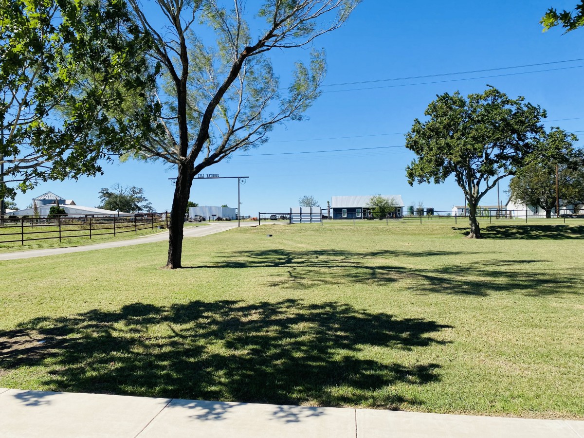 A sunny day in a park featuring lush green grass and scattered trees under a clear blue sky.