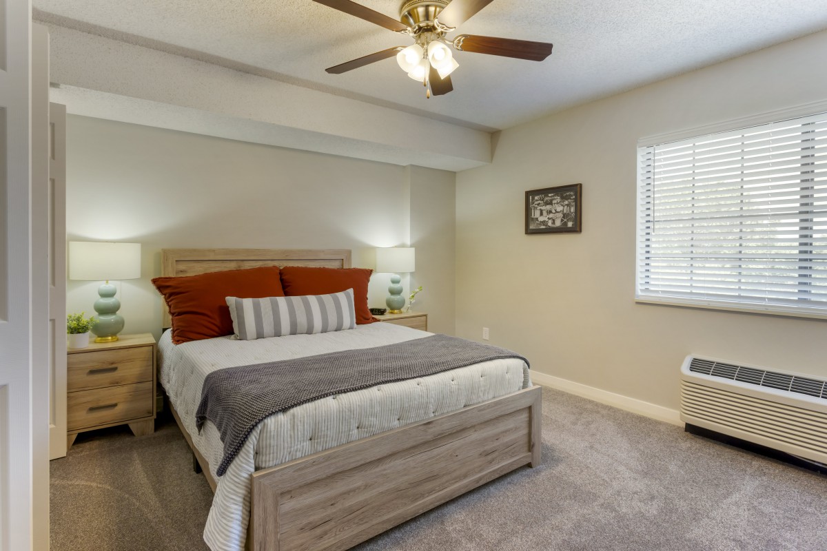 A modern bedroom with a comfortable bed, bedside lamps, and a ceiling fan.