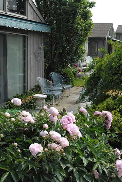 A serene garden with pink flowers and a cozy patio setup.
