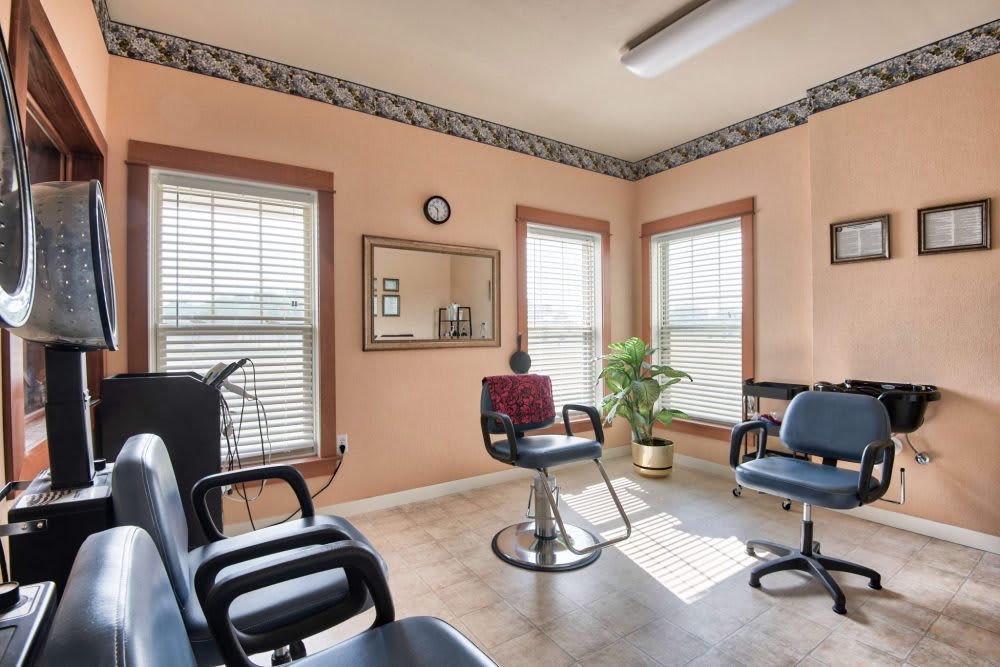 A bright and welcoming hair salon with multiple chairs, large windows, and indoor plants.