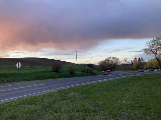 A serene view of a winding road surrounded by lush hills and a colorful sky at sunset.