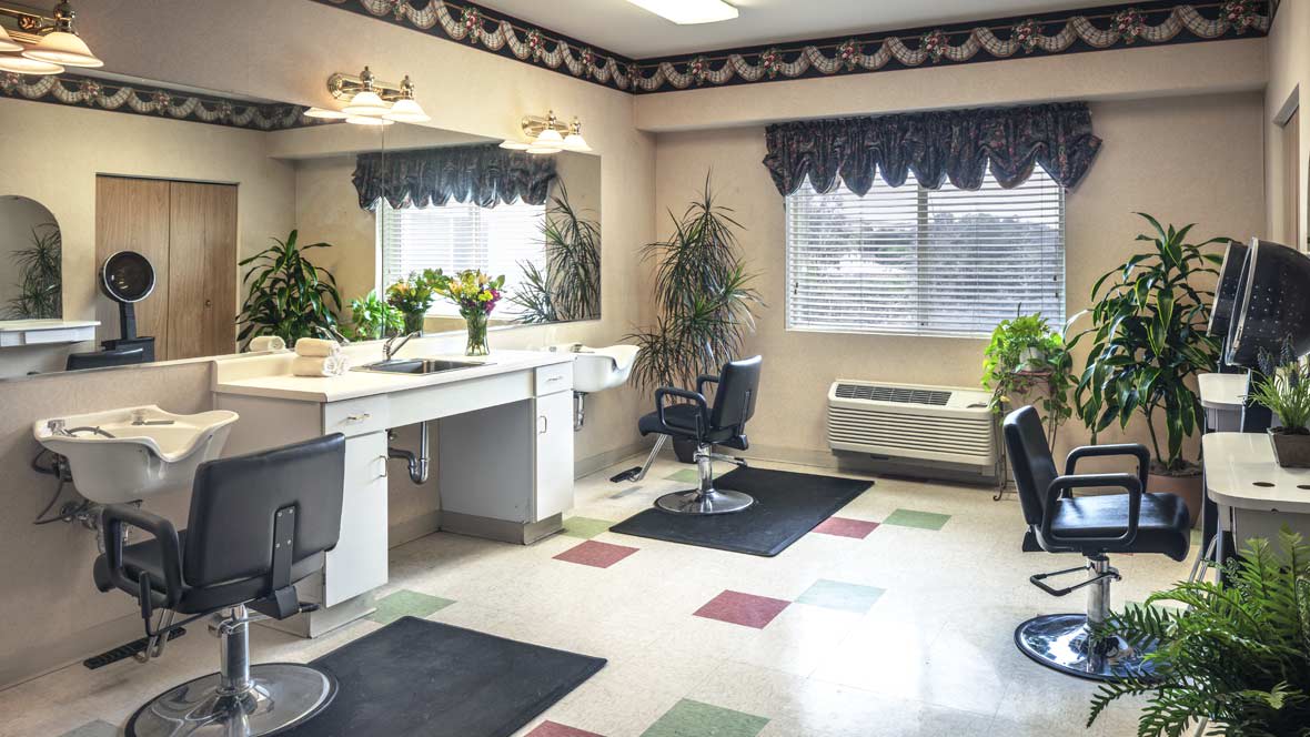 A clean and well-lit beauty salon with chairs, mirrors, and decorative plants.