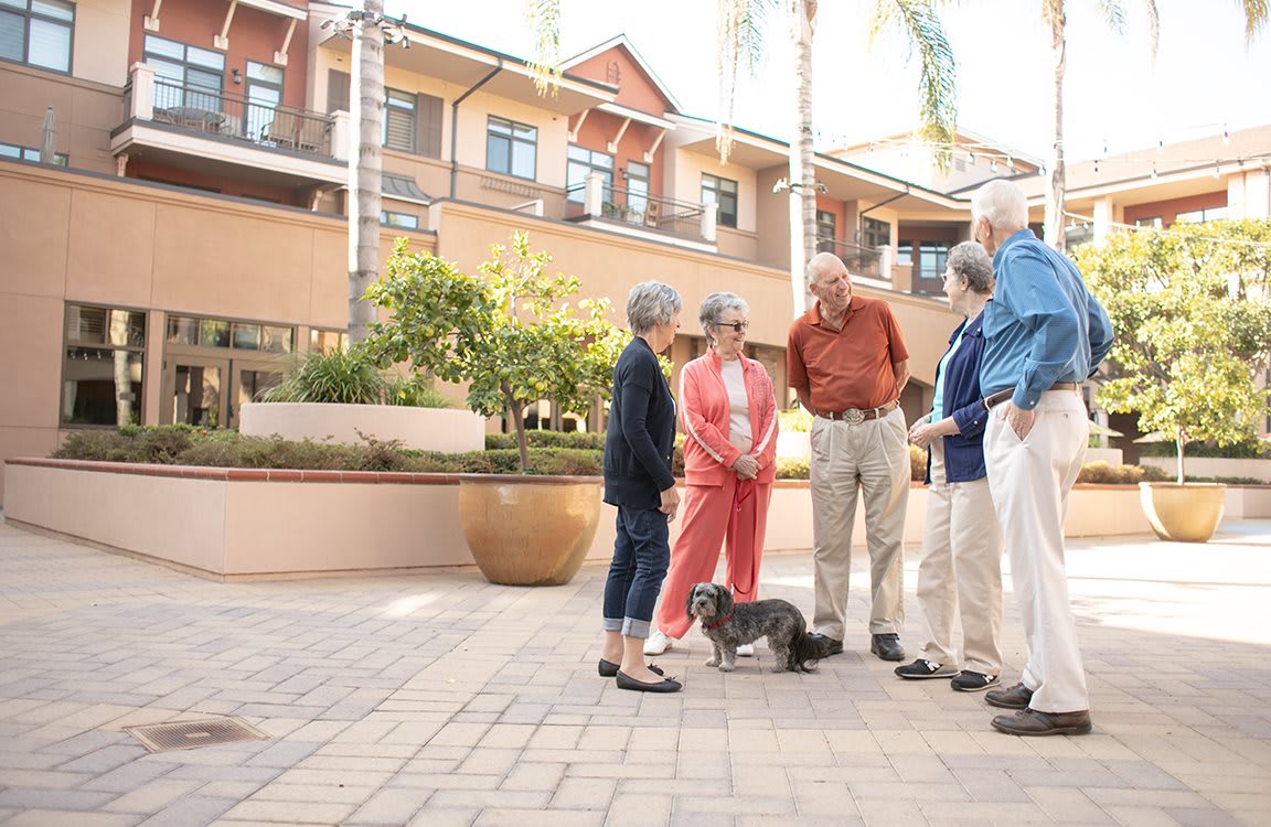 A group of seniors chatting outdoors with a small dog nearby.
