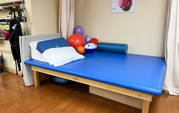 A physical therapy treatment room equipped with a blue padded table and various exercise balls.