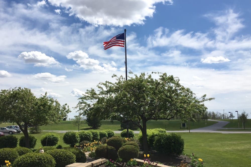 The Meadows Of Leipsic