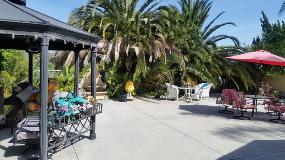 A sunny patio with palm trees and outdoor seating.
