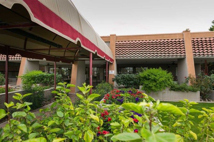 A garden with flowers in front of a building featuring an awning.