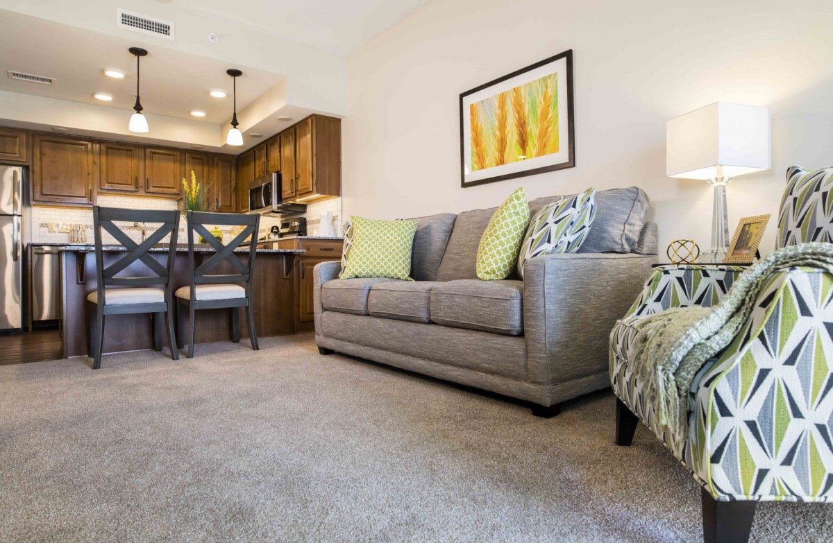 A cozy living room with a gray sofa and an open dining and kitchen area.