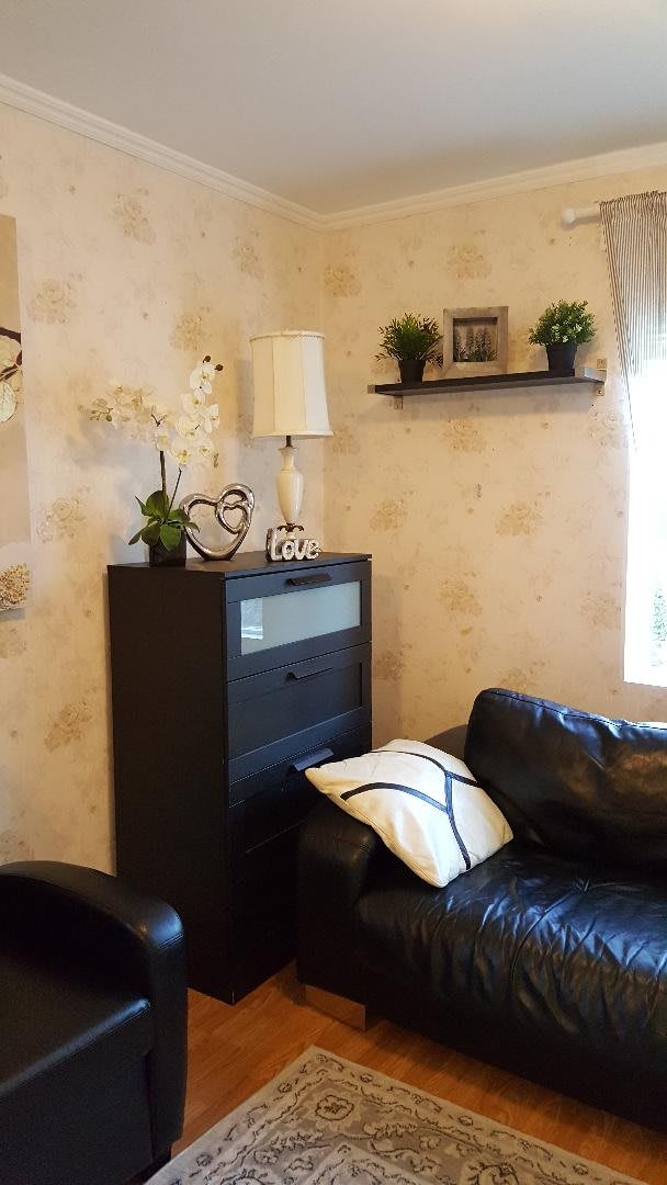 A cozy living room with a black couch, decorative shelf, and lamp.