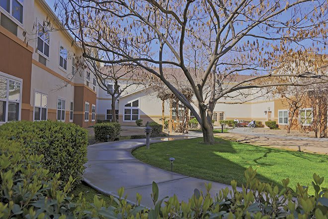 A serene outdoor courtyard with a tree, lush lawn, and surrounding buildings.
