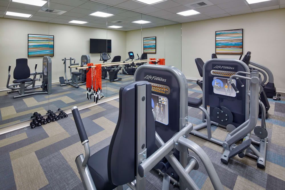 A modern gym with various exercise machines and equipment.