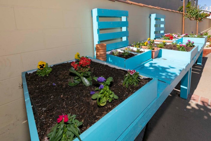 A series of vibrant, raised garden beds filled with colorful flowers in an outdoor setting.