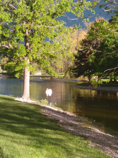 A serene park landscape featuring a calm pond surrounded by lush greenery and a beautiful tree.