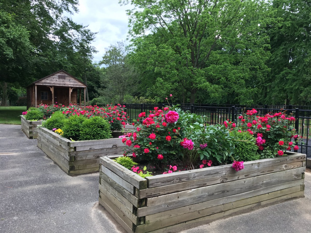 A beautiful garden with vibrant flowers in raised wooden beds and a gazebo in the background.